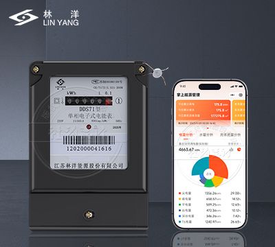 江蘇林洋DDS71電能表(計度器款)